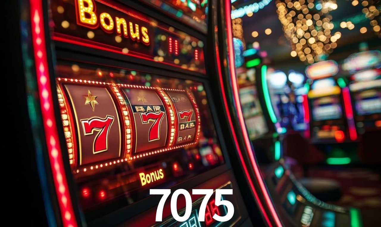 Recursos App 7075